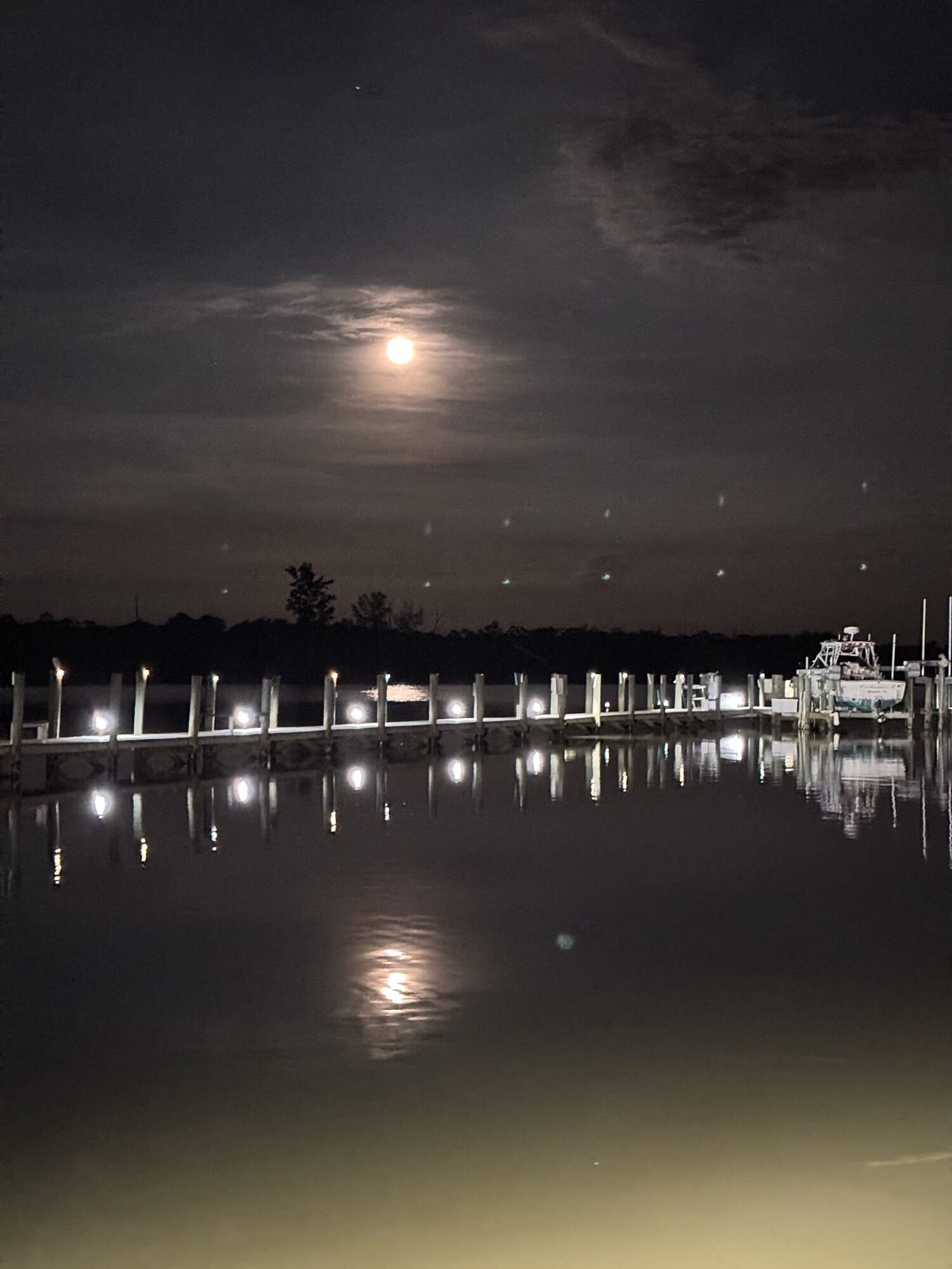 Moonrise over the marina docks